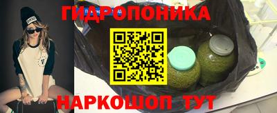 PSILOCYBIN Будённовск