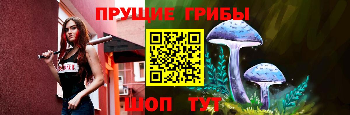 дарнет шоп  Вход с VPN  Галлюциногенные грибы мухоморы  Шахты  Псилоцибиновые грибы Psilocybe 